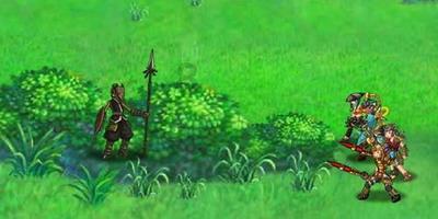 创作猫