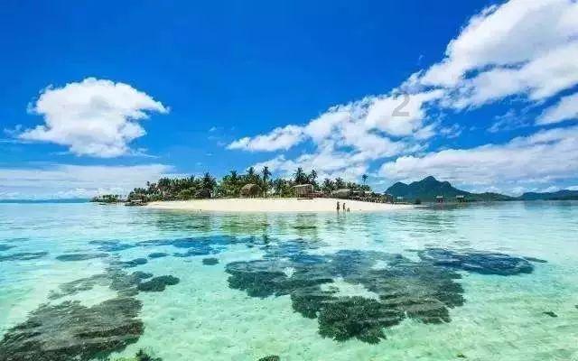 夏日时尚的爱丽