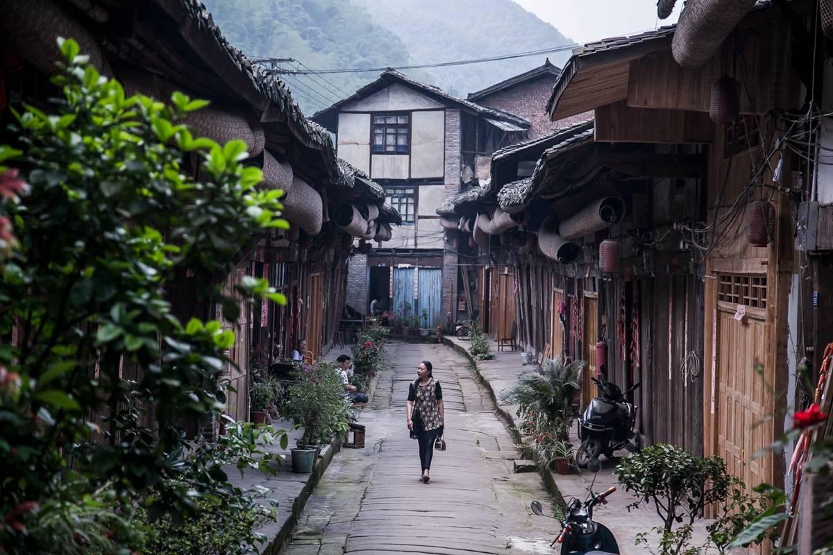 探索天涯,发现如果油价破 10 块,你还开车吗?的乐趣